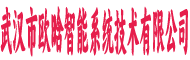 武汉市欧晗智能系统技术有限公司